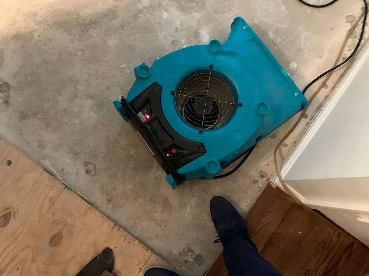 Air mover drying subfloor during Leak Detection & Repair in Duvall